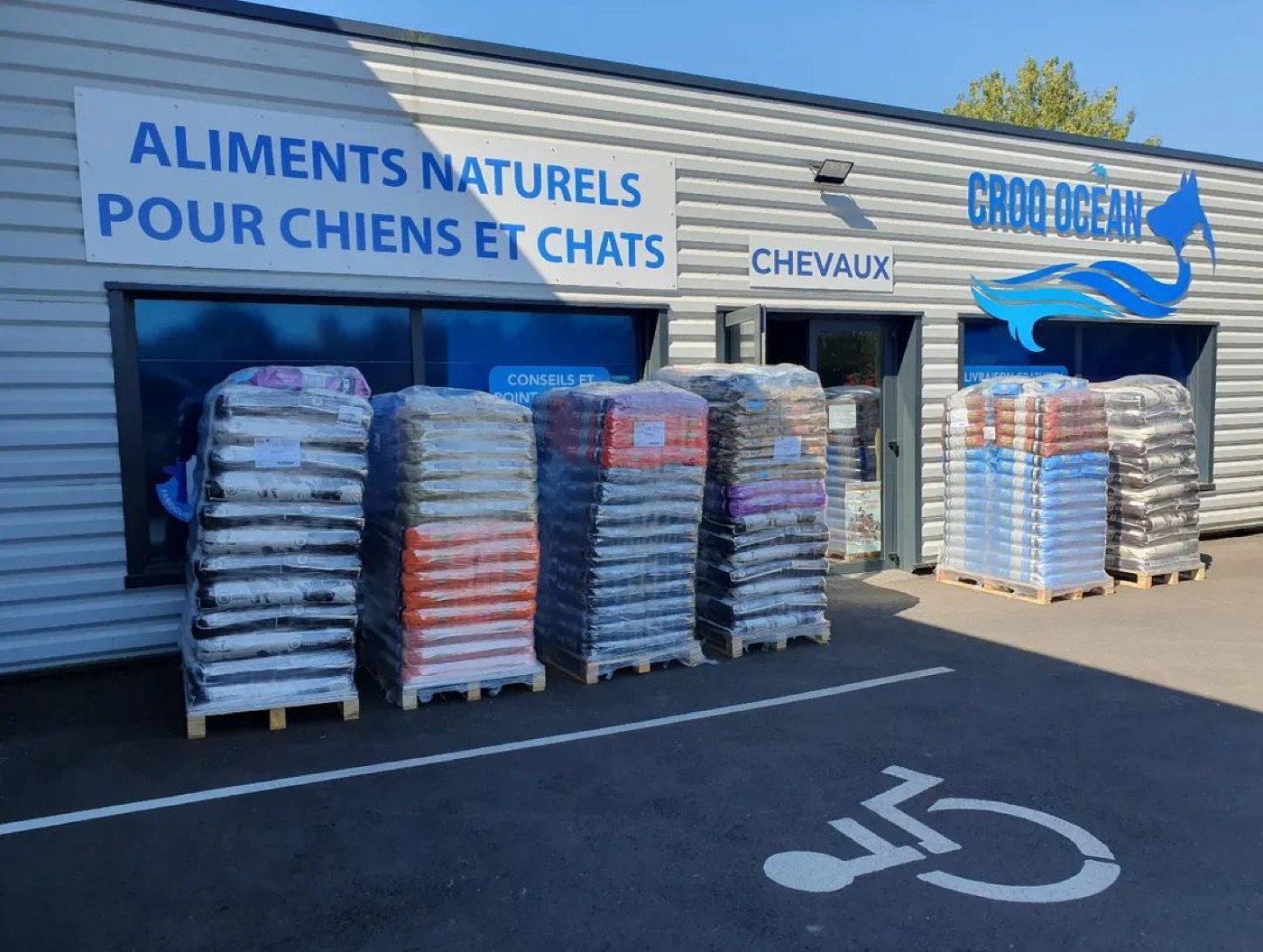 Croquettes, friandises ou pâtées, toute l'alimentation de votre compagnon au même endroit !